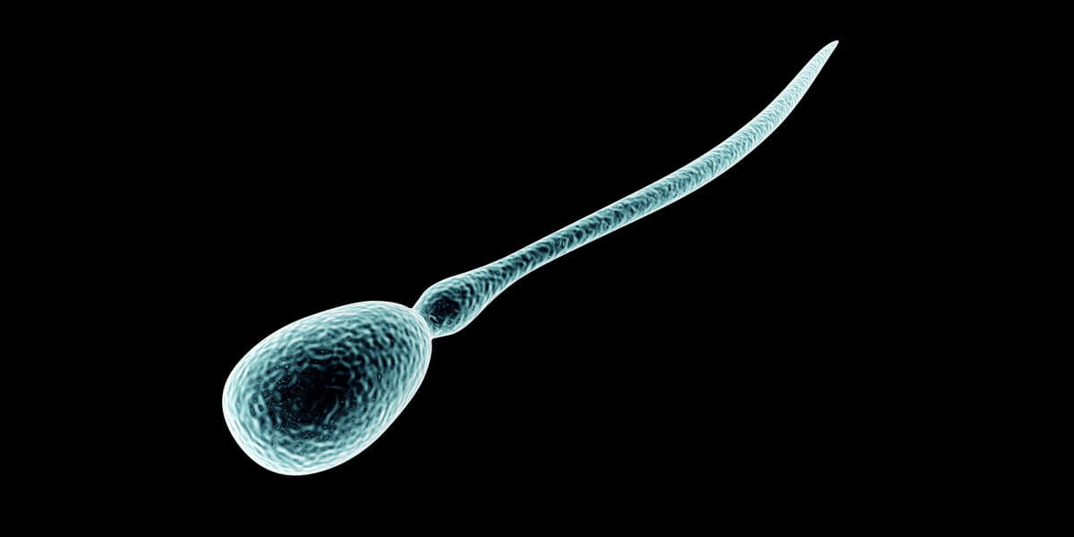 Undersøkelse hos gynekolog dersom man mistenker at man er gravid