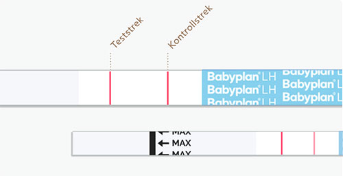 Positiv eggløsningstest strimmel