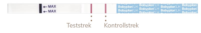 Positiv egglosningstest strimmel